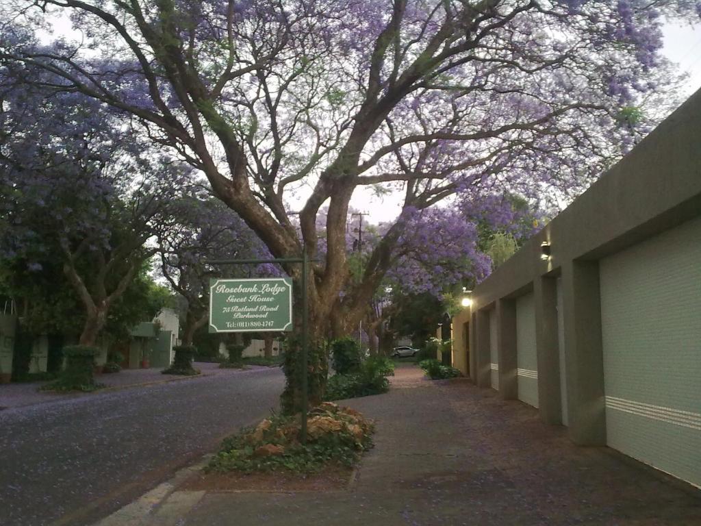Rosebank Lodge Guesthouse By Claires Joanesburgo Quarto foto