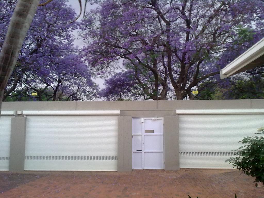 Rosebank Lodge Guesthouse By Claires Joanesburgo Exterior foto