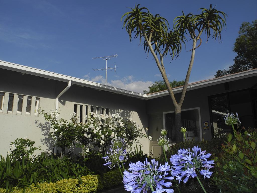 Rosebank Lodge Guesthouse By Claires Joanesburgo Exterior foto