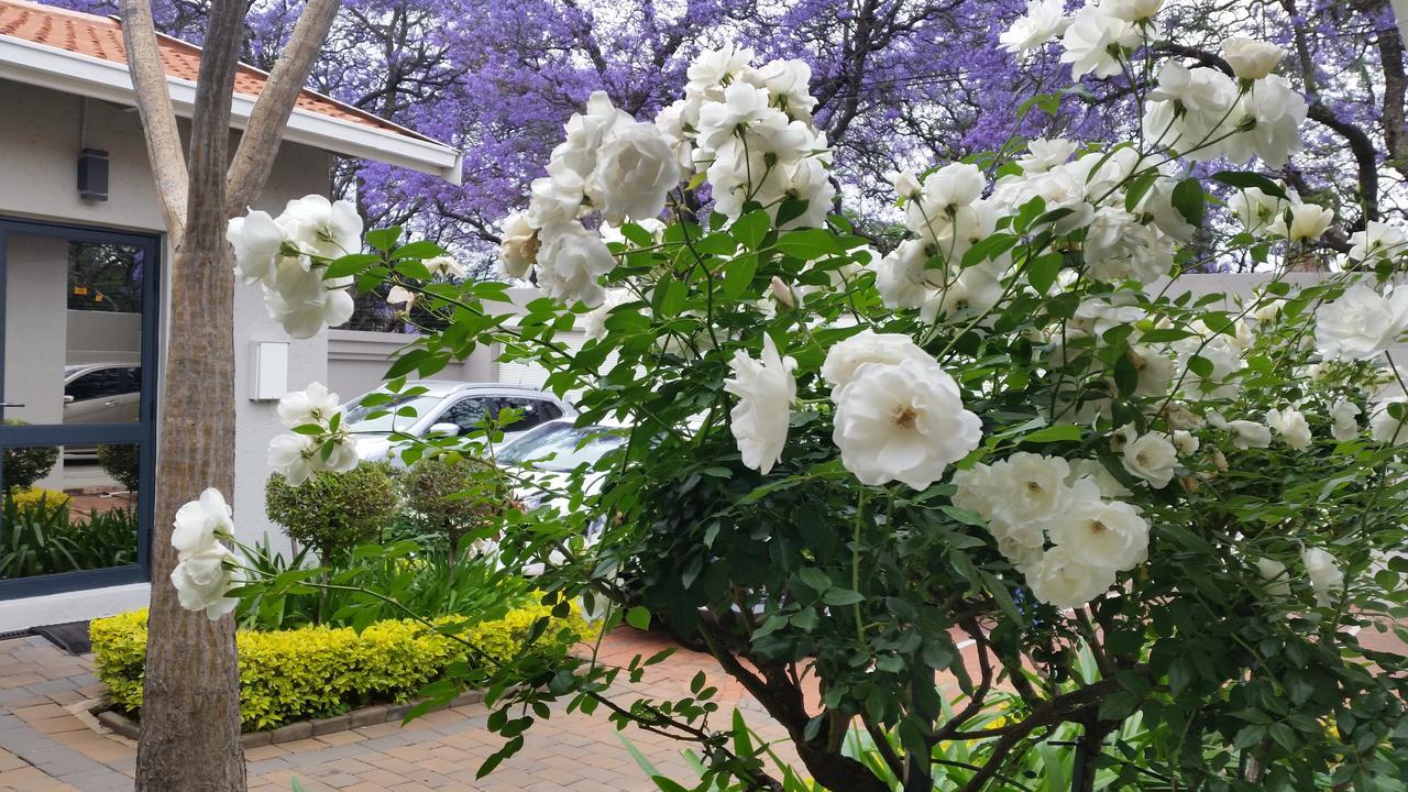 Rosebank Lodge Guesthouse By Claires Joanesburgo Exterior foto